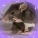 🐭Ratitas🐭 