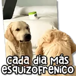 AESTHETIC Memes 9.0 👻🌷 