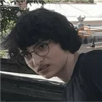 finn wolfhard 