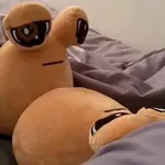 pou 