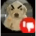 Tal vez unos memes te faltan