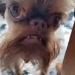 🎵 TIKTOKeando 19🎵 
