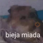 Pack Enojo Shitpost 😡🤬 