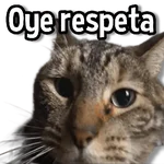 Memes Usables #2😌 