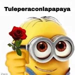 PARA ENVIAR RANDOM 