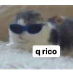 PARA ENVIAR RANDOM 
