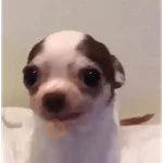 PARA ENVIAR RANDOM 