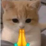 😎 STICKERS SHITPOST 3 🤙 