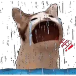 🚫•SAD 😭😢😥 