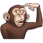 Crazy Monkey 1 