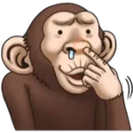 Crazy Monkey 1 