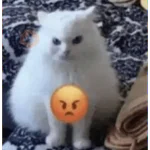 😂Gatitos Cura Depresión🙀 