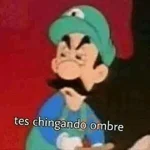 Que perro coraje 