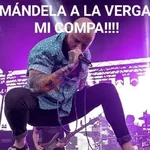 Que perro coraje 