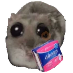 Ratita Triste