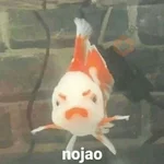 Pack Enojo Shitpost 😡🤬 2 