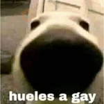 Pack Enojo Shitpost 😡🤬 2 