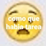 🤌🏻Stickers pal grupo😌😂 
