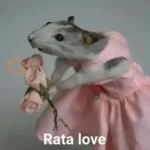 Ratitas🐁🐭🩶 