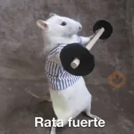 Ratitas🐁🐭🩶 
