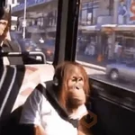 🤎🐵Monitos randoms🐵🤎 