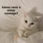 Hora de dormir 😴🌆🌙 