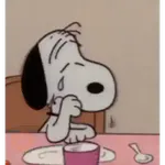 No te entendí ni vrg - Snoopy 