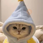 🐱Michitos con disfraces🐱 