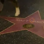 Los Oscars 🏆 