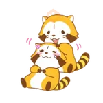 Mapache Cute 🦝❤️ 