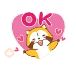 Mapache Cute 🦝❤️ 