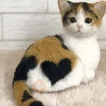 🥺🐱Michitos tiernos🐱🥺 
