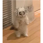 gojo satoru 
