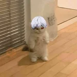 gojo satoru 