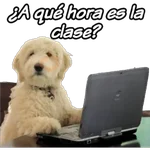 clases online time 