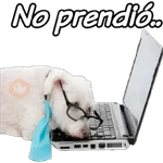 clases online time 