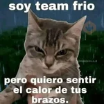 Gatitos Shitposting 2