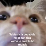 Gatitos Shitposting 2