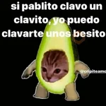 Gatitos Shitposting 2