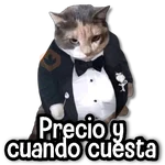 MICHIS Mix 🐾😻 ➊ 
