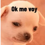 MEME PERRITO