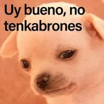 MEME PERRITO