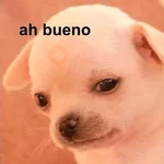 MEME PERRITO