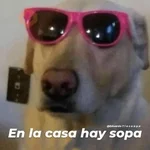Stickers pal grupo mi so😂🤣 