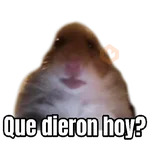 Memes Randoms Para Enviar 