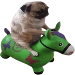 Doggies Memes 