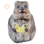 Quokkas, los Animales Más Felices del Mundo