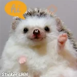 Erizo 🦔