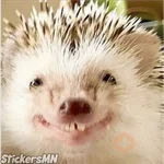Erizo 🦔