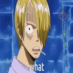 One Piece ☠ SanJi - Mov